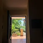 Del Sole *