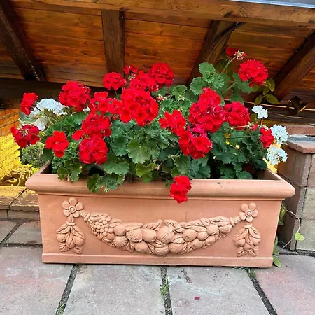 Del Sole Villa *